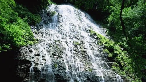 节能独特信息化